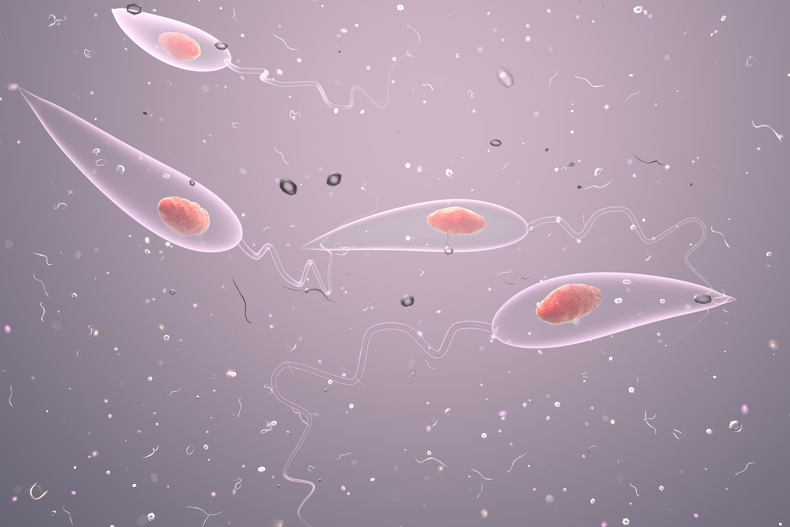 Promastigotes of Leishmania parasite which cause leishmaniasis, 3D illustration